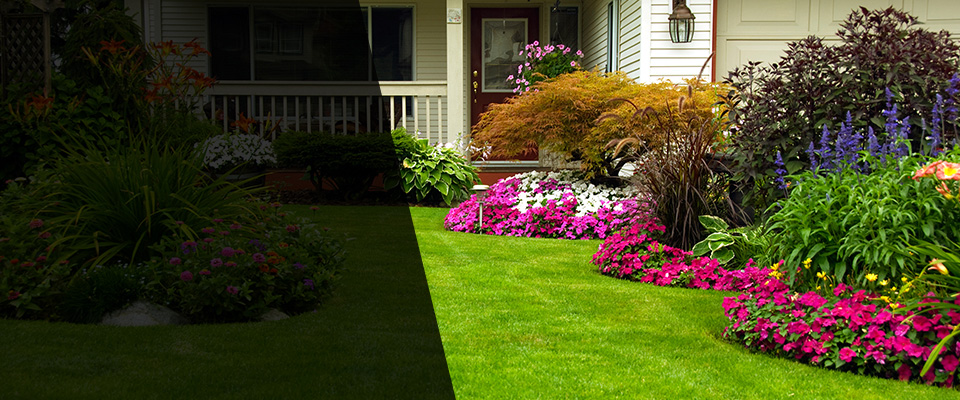 Essington Landscapers