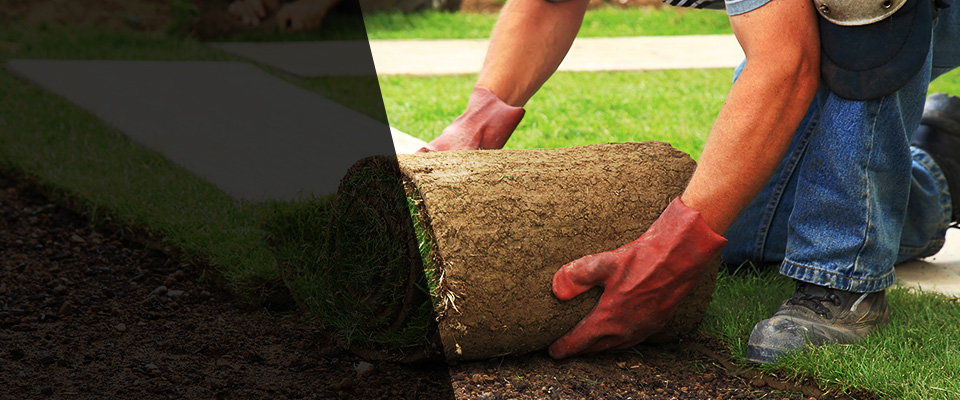 Essington Landscapers